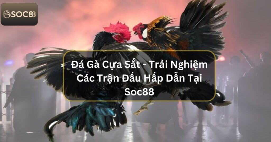 Đá Gà Cựa Sắt - Trải Nghiệm Những Trận Đấu Hấp Dẫn Tại Soc88 1 Đá Gà Cựa Sắt - Trải Nghiệm Những Trận Đấu Hấp Dẫn Tại Soc88