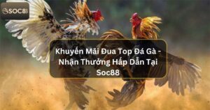 Khuyến Mãi Đua Top Đá Gà - Nhận Thưởng Hấp Dẫn Tại Soc88 1 Khuyến Mãi Đua Top Đá Gà - Nhận Thưởng Hấp Dẫn Tại Soc88