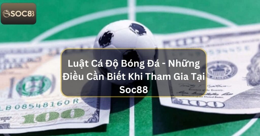 Luật Cá Độ Bóng Đá - Những Điều Cần Biết Khi Tham Gia Tại Soc88 1 Luật Cá Độ Bóng Đá - Những Điều Cần Biết Khi Tham Gia Tại Soc88