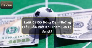 Luật Cá Độ Bóng Đá - Những Điều Cần Biết Khi Tham Gia Tại Soc88 35 Luật Cá Độ Bóng Đá - Những Điều Cần Biết Khi Tham Gia Tại Soc88