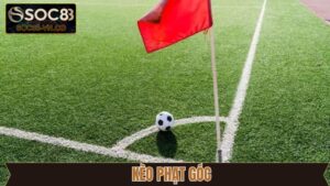 Kèo Phạt Góc - Cách Đọc Tỷ Lệ Cược Chi Tiết Cho Newbie 18 Kèo Phạt Góc - Cách Đọc Tỷ Lệ Cược Chi Tiết Cho Newbie