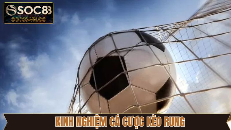 Kèo Rung - Hướng Dẫn Bắt Cược Chuẩn Xác Tại Soc88  4 Bật mí kinh nghiệm đánh kèo rung thắng lớn