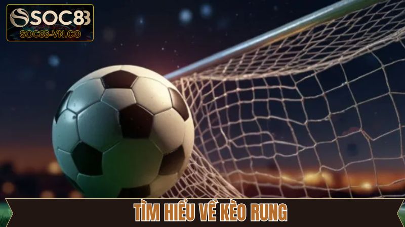 Kèo Rung - Hướng Dẫn Bắt Cược Chuẩn Xác Tại Soc88  2 Thông tin khái niệm kèo rung bóng đá