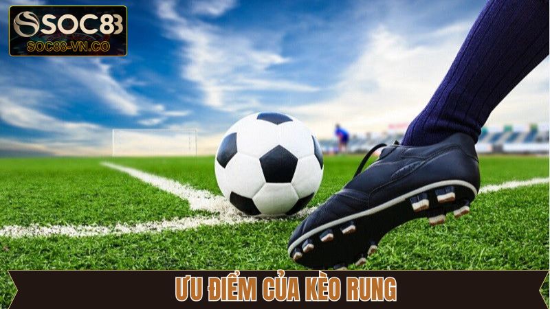 Kèo Rung - Hướng Dẫn Bắt Cược Chuẩn Xác Tại Soc88  3 Một số điểm mạnh đáng để tham gia của kèo rung